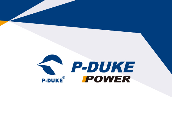 P-DUKE 博大科技: 仿冒品提醒聲明